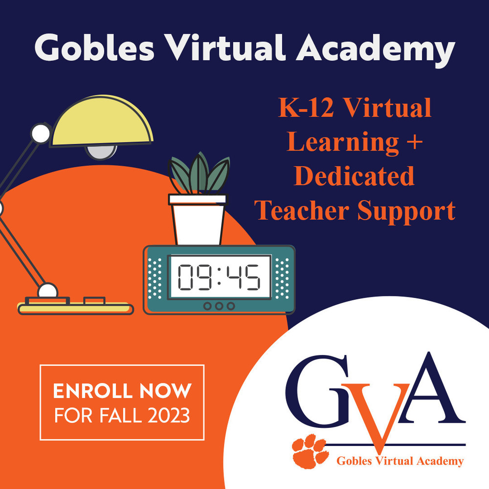 Flyer for Gobles Virtual Academy