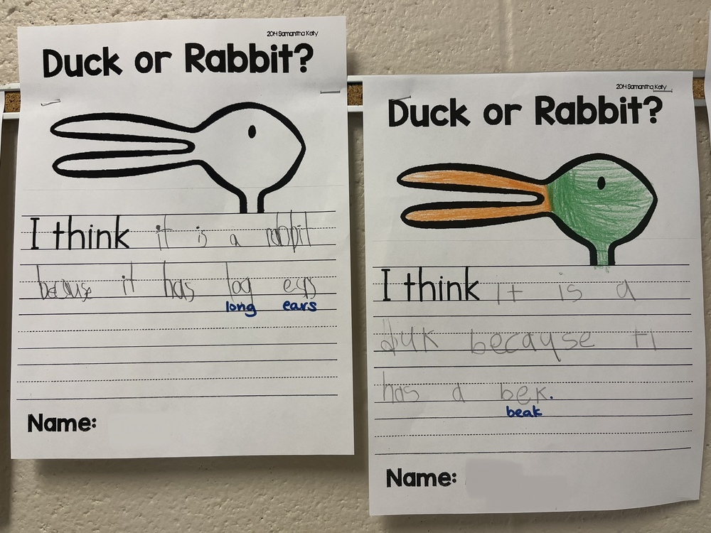 Pictures of Duck or Rabbit? writing prompt from kindergarten students
